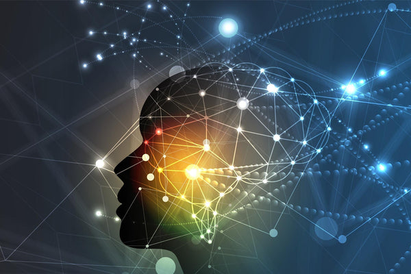 Neurodiversity & Focus: Why Different Minds Need Better Tools