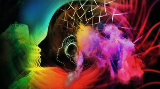 The Diverse Mind - The Fidget Company