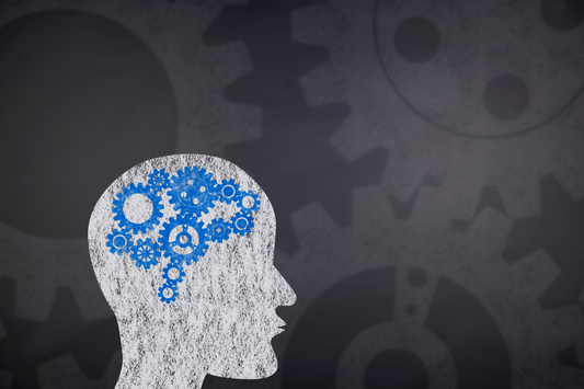 The Evolving Role of Fidgeting in Cognitive Well-being - The Fidget Company
